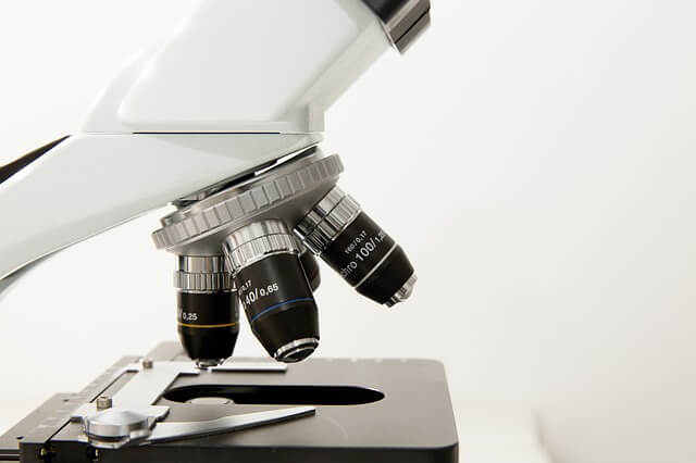 Mikroskop - badanie cytologiczne
