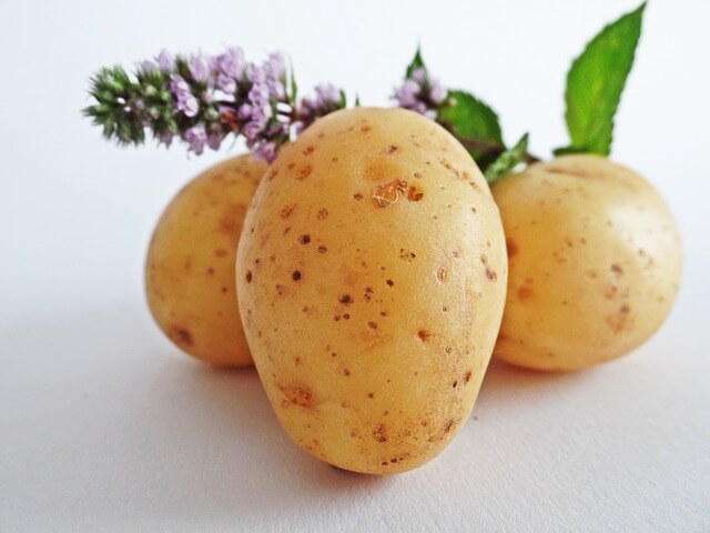 Trzy ziemniaki na białym tle, z roślinką na górze