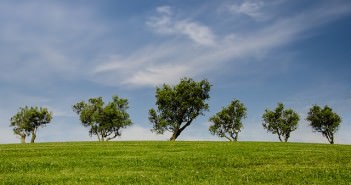 Ochrona środowiska – fakty, które musisz znać! Ochrona środowiska naturalnego jest bardzo ważna