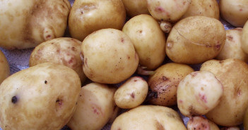 Dieta ziemniaczana – co kryją w sobie ziemniaki? dieta ziemniaczana
