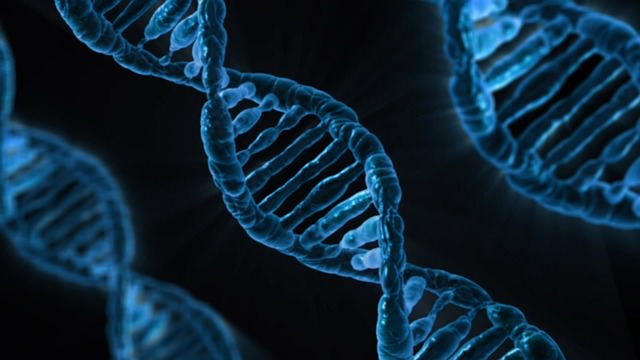 Największym odkryciem biologii jest poznanie DNA