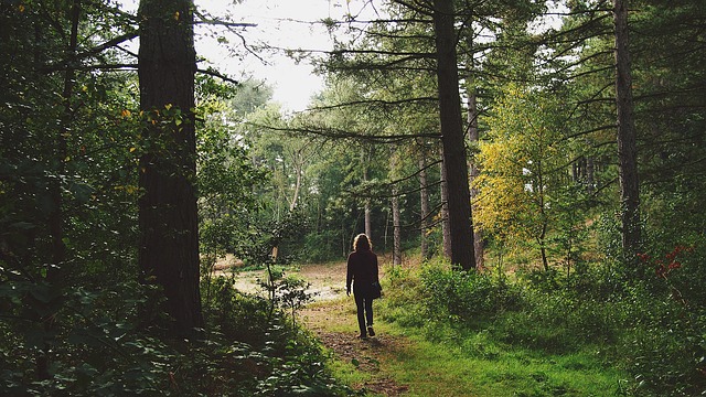 Mężczyzna spaceruje po lesie