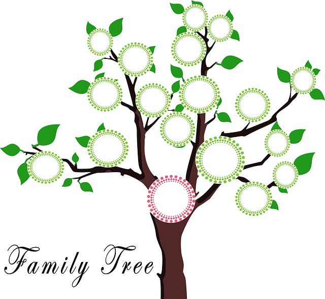 jak robic drzewo genealogiczne